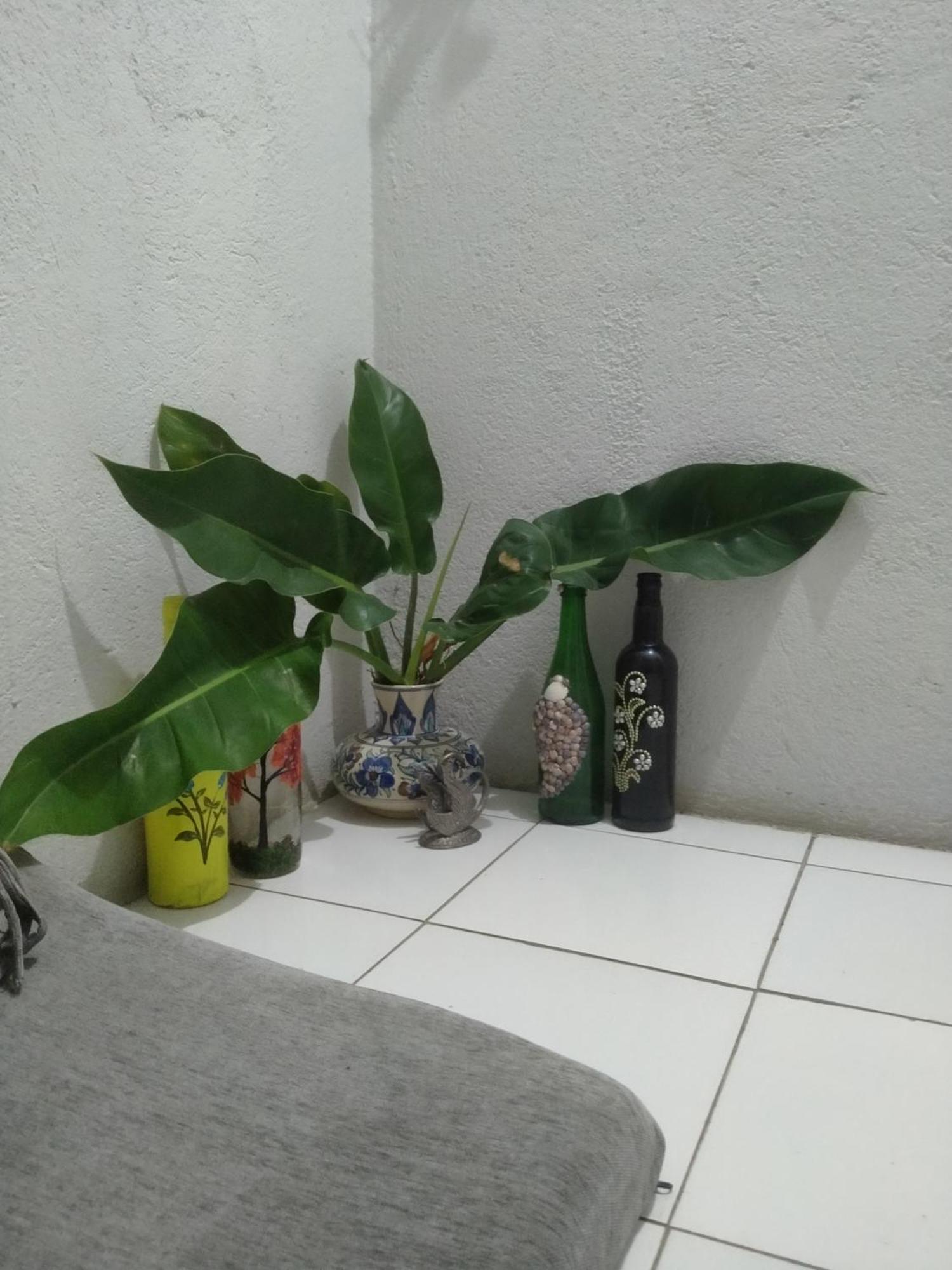 Traveler House Otel Dimāpur Dış mekan fotoğraf